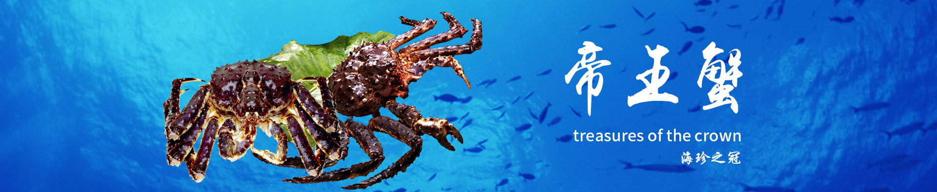 星空体育登录入口网页