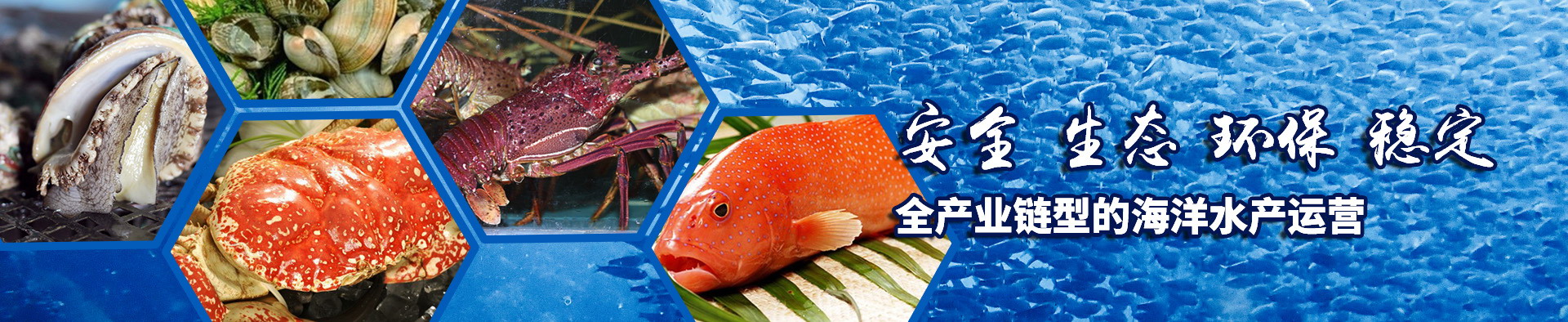 星空体育app官网入口