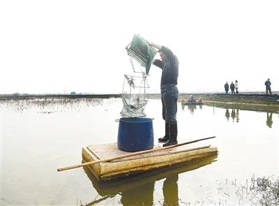 星空体育登录:贻贝相关食物资讯_食物同伴网